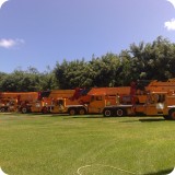 Gr&uacute;as en patio